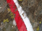 les guides de l'alpe