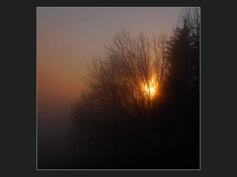 coucher de soleil dans le brouillard