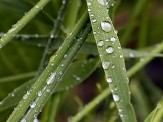 après l'orage