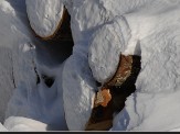 Billes sous la neige