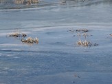 Lac de Joux