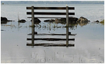 Innondations Yvonand - 2007